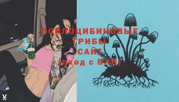 спайс Мегион