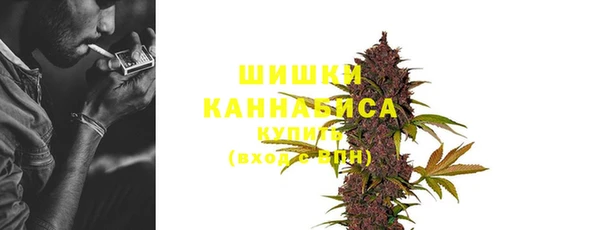 ГАЛЛЮЦИНОГЕННЫЕ ГРИБЫ Беломорск